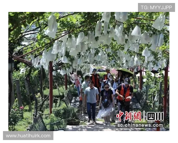 华体会体育官方网站优惠活动与促销策略详解助力用户享受更多实惠与福利 华体会体育官方网站优惠活动与促销策略详解助力用户享受更多实惠与福利