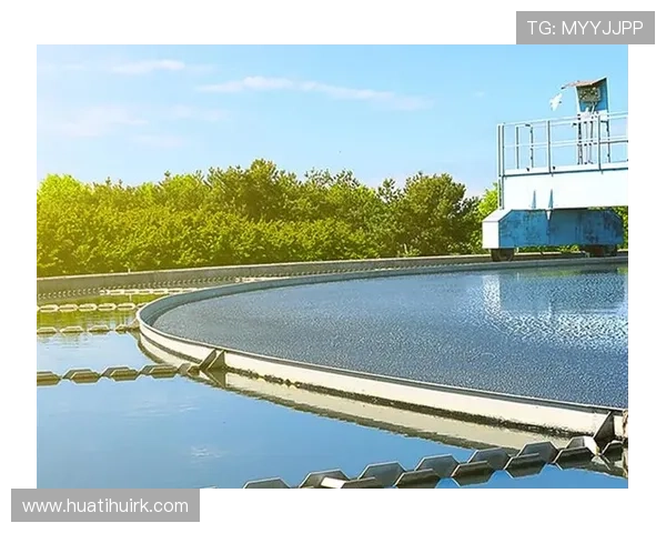 华体会平台介绍:华体会平台的技术支持与网站性能优化方案 华体会平台介绍:华体会平台的技术支持与网站性能优化方案