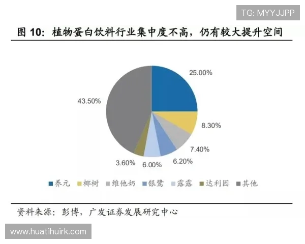 华体会体育集团在体育产业中的投资布局与多元化发展路径分析 华体会体育集团在体育产业中的投资布局与多元化发展路径分析